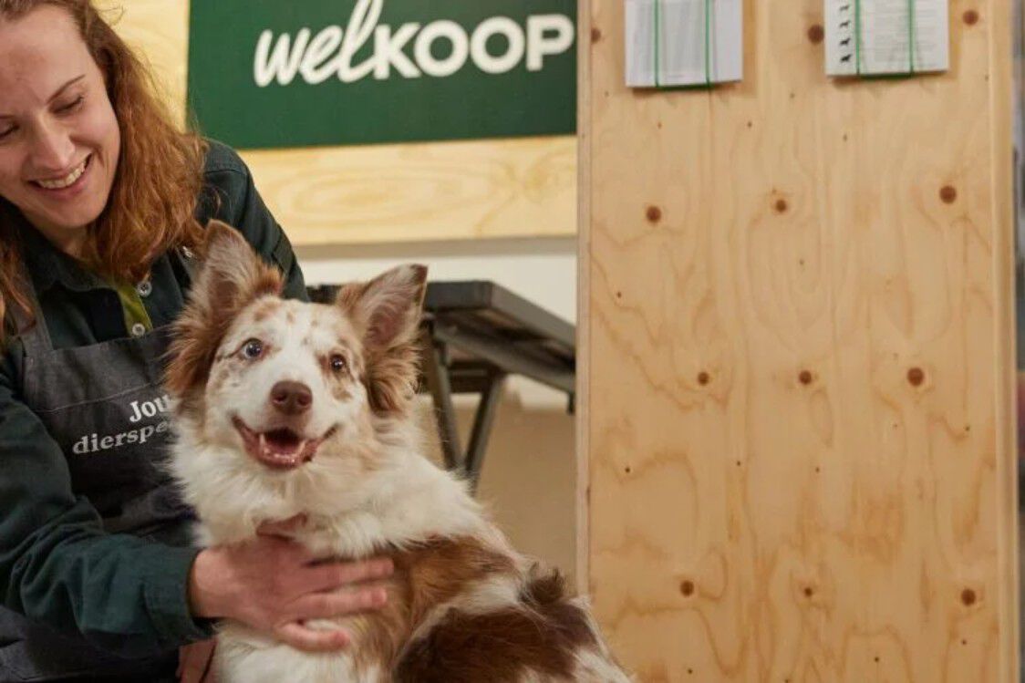 Advies in de winkel - hond